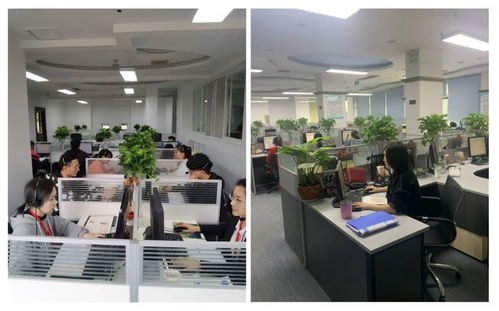 成都市成華區(qū)府青路街道第七次全國(guó)人口普查咨詢熱線服務(wù)開(kāi)通